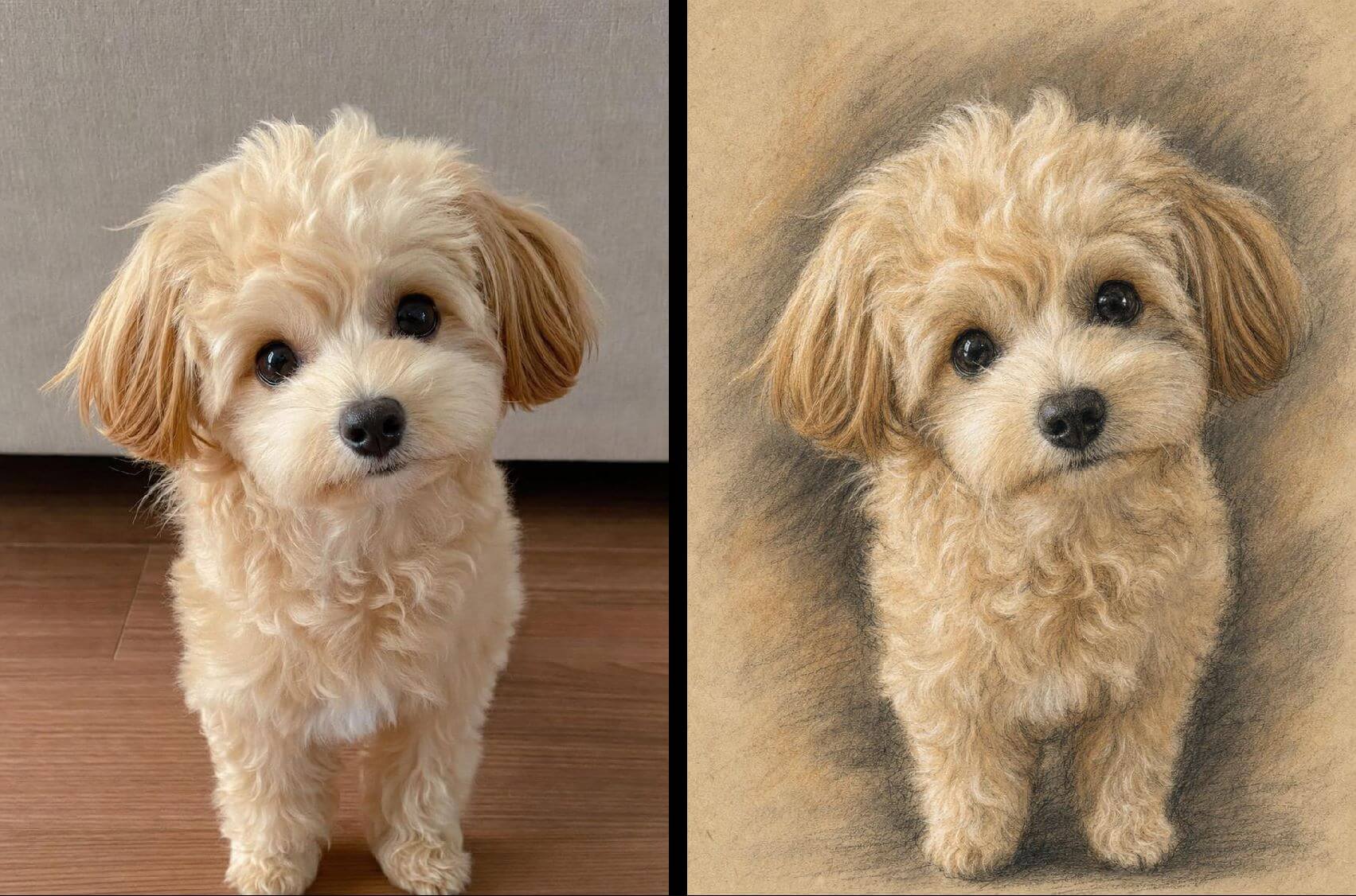 Charcoal and pastel fine art pet study generated from a photo